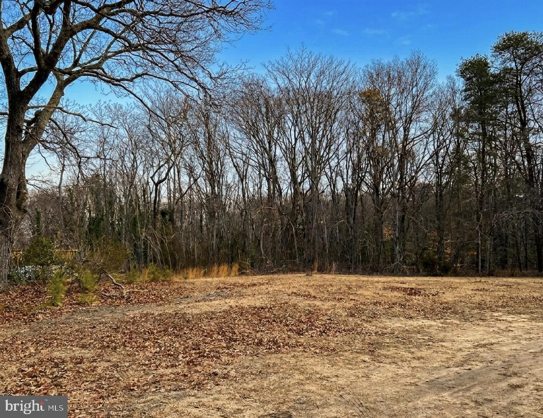 12156 Rousby Hall Road Lusby, MD 20657 - Photo 2 of 4 a view of outdoor space with trees