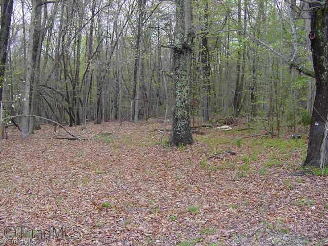 4801 Bladen Road Greensboro, NC 27405 - Photo 4 of 4 Other.