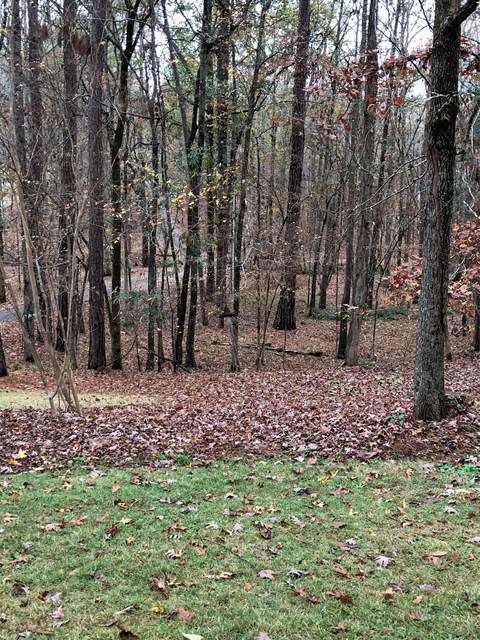 172 Raccoon Run Fortson, GA 31808 - Photo 26 of 45 Gallery Image 26