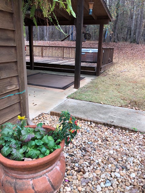 Gallery Image 6