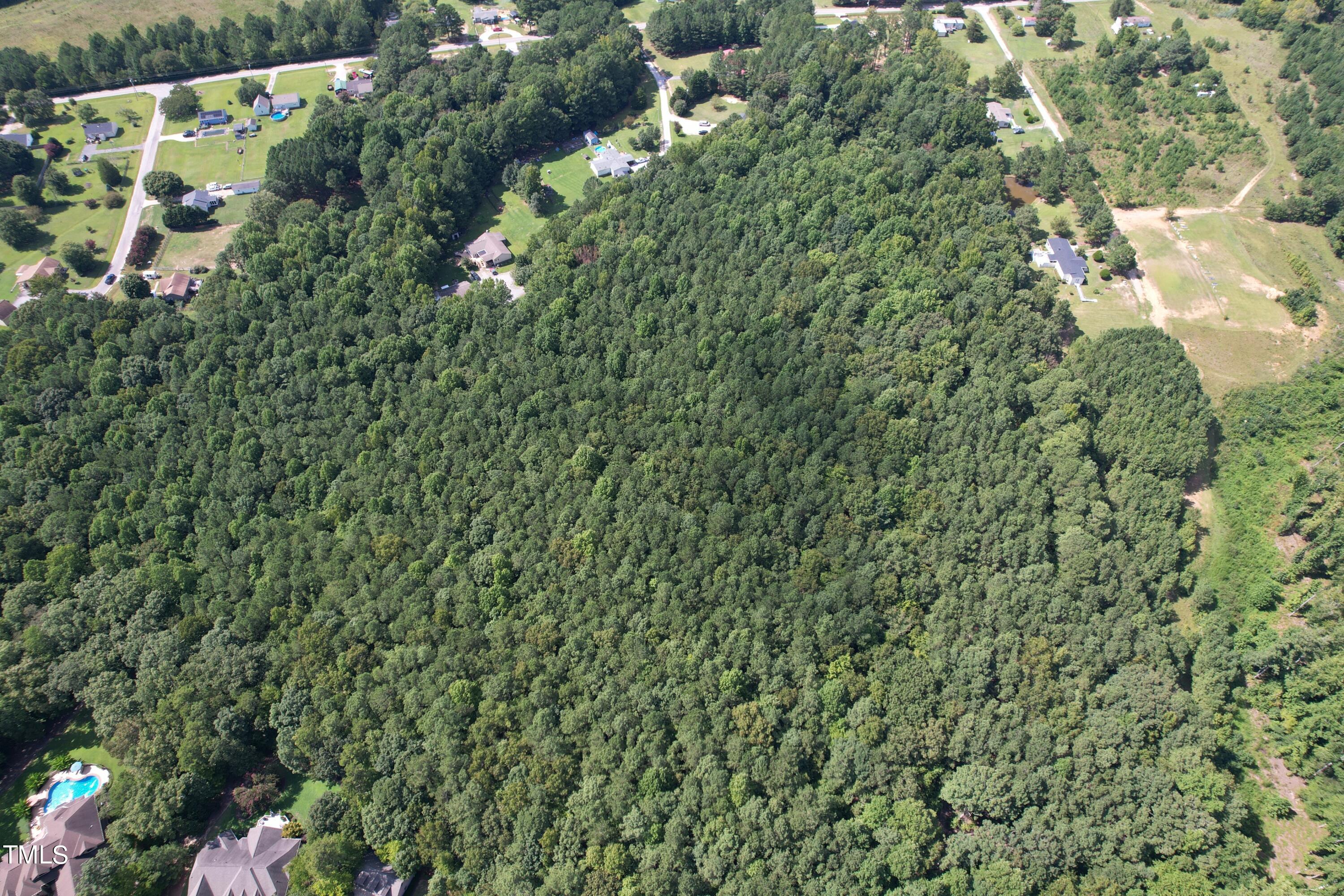 0 Castleberry Road Clayton, NC 27527 - Photo 6 of 17 a view of a yard with plants and flowers