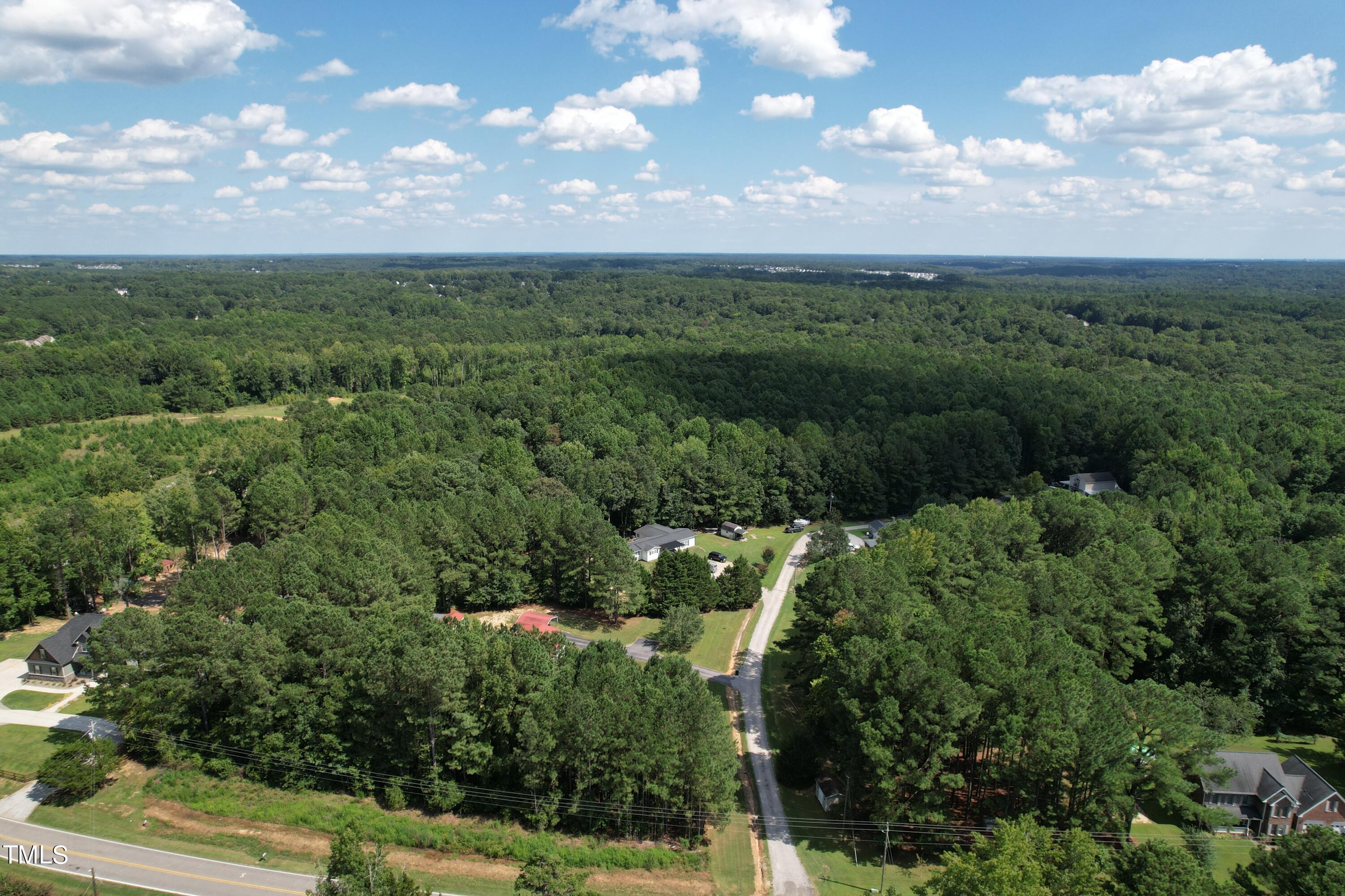 0 Castleberry Road Clayton, NC 27527 - Photo 7 of 17 a view of a city with lush green forest