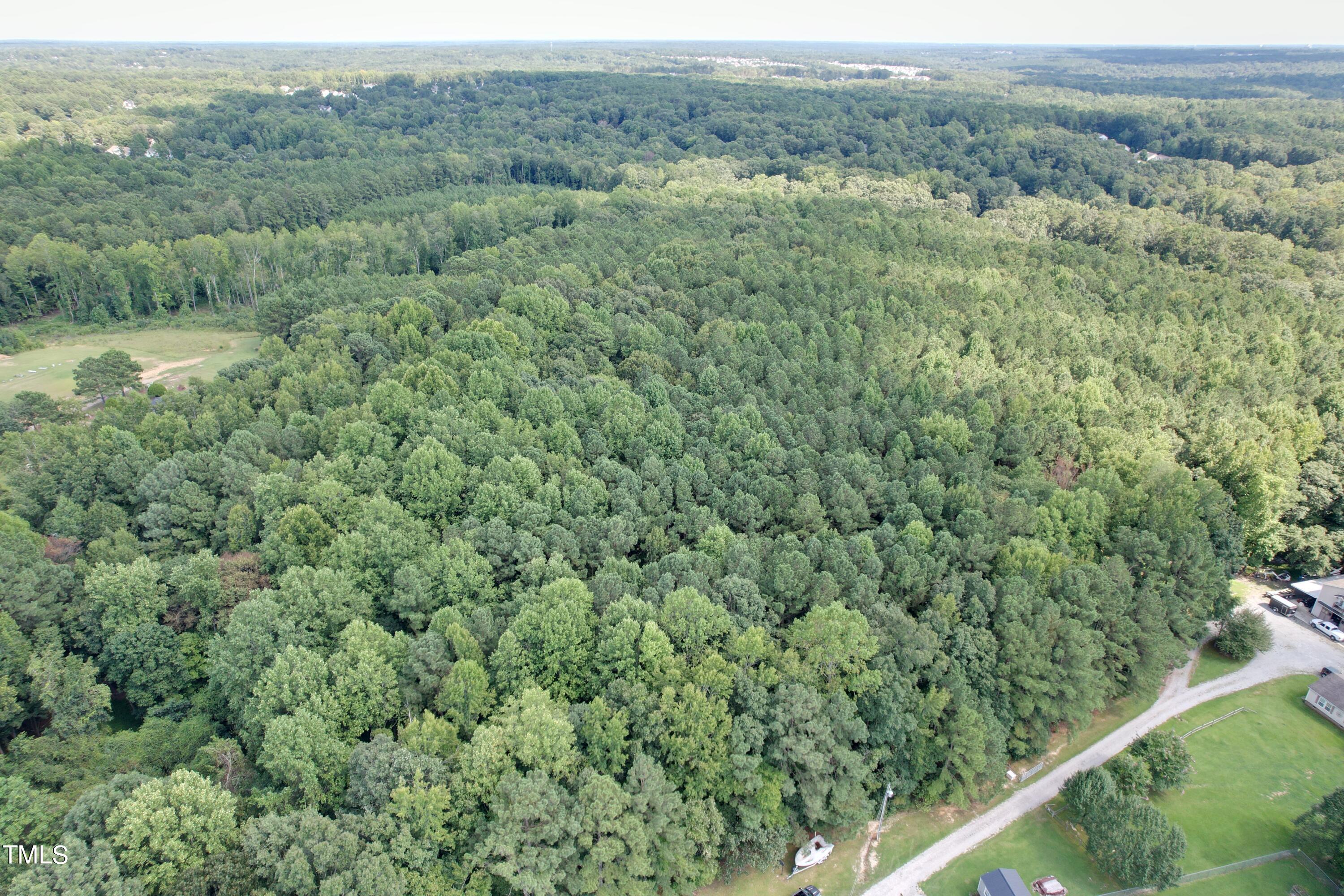0 Castleberry Road Clayton, NC 27527 - Photo 10 of 17 a view of a forest with a street