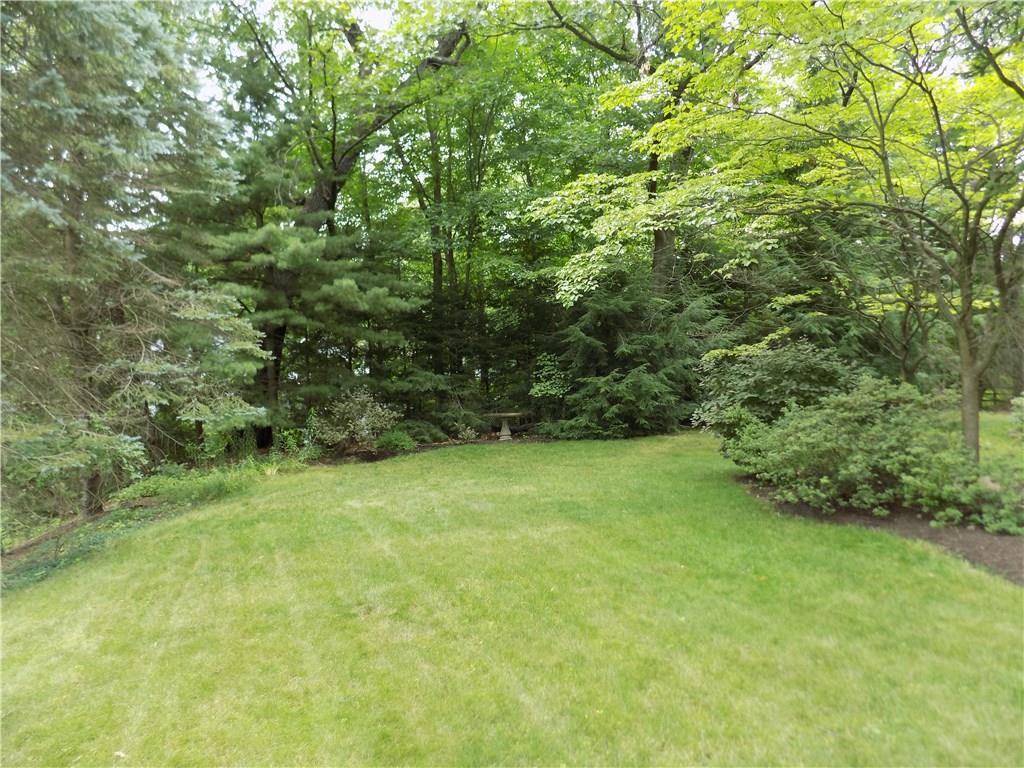 242 Rockingham Road Pittsburgh, PA 15238 - Photo 2 of 25 If you like nature, you will love living here! Enjoy a walk in the park on your own property surrounded by mature shade trees.