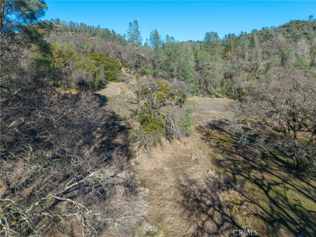 0 Crown Point Road Magalia, CA 95954 - Photo 11 of 39 a view of a dry yard with trees in the background