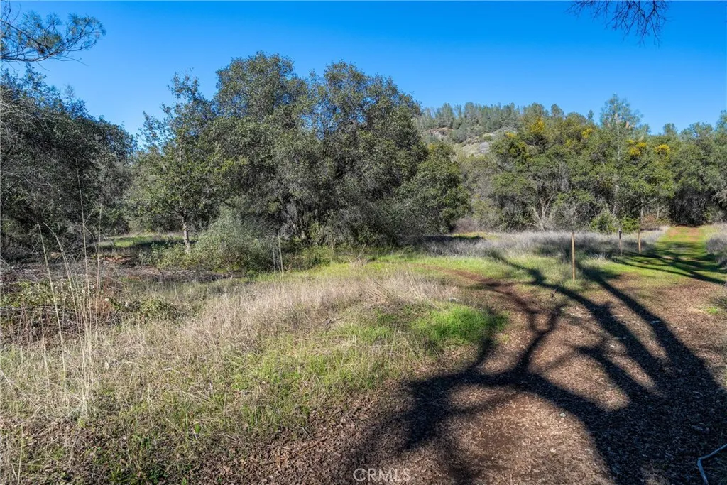 0 Crown Point Road Magalia, CA 95954 - Photo 17 of 39 a view of a yard with a tree