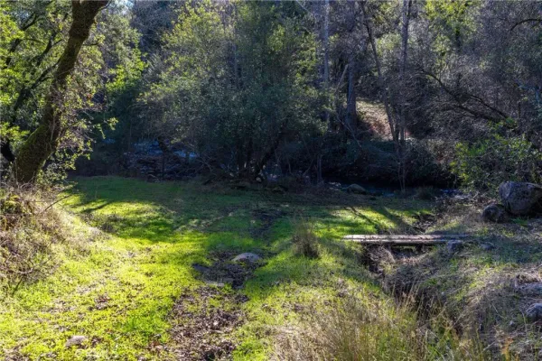 a backyard of a house with lots of green space