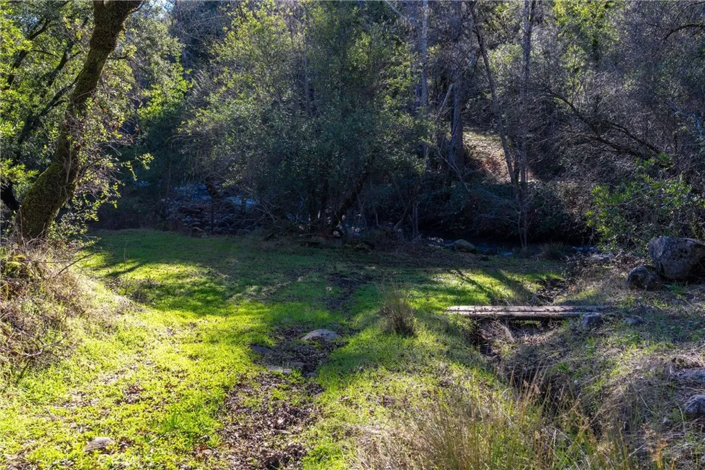 0 Crown Point Road Magalia, CA 95954 - Photo 23 of 39 a backyard of a house with lots of green space