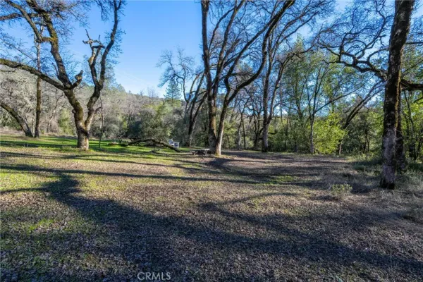 a view of a park