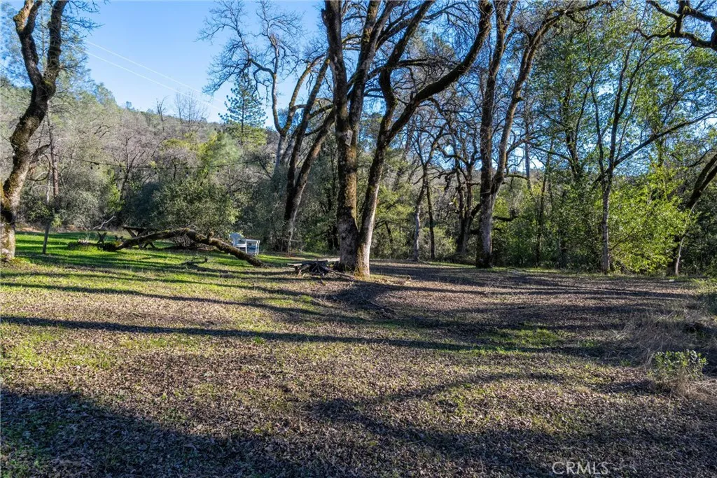 0 Crown Point Road Magalia, CA 95954 - Photo 25 of 39 a view of a yard