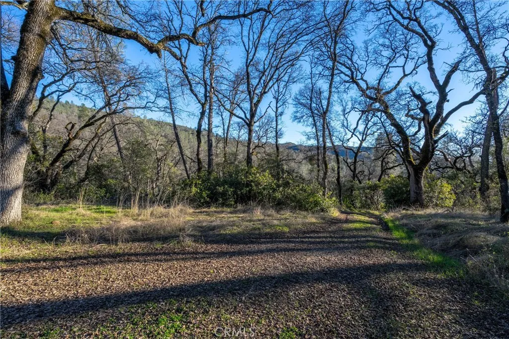 0 Crown Point Road Magalia, CA 95954 - Photo 27 of 39 a view of backyard