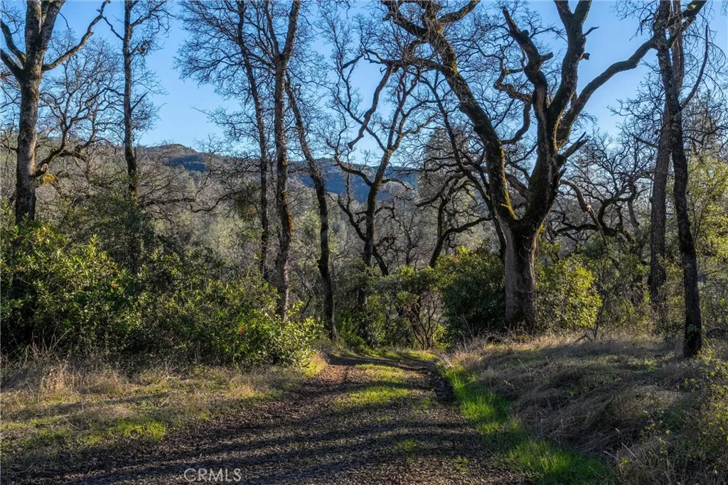 0 Crown Point Road Magalia, CA 95954 - Photo 28 of 39 a view of a yard
