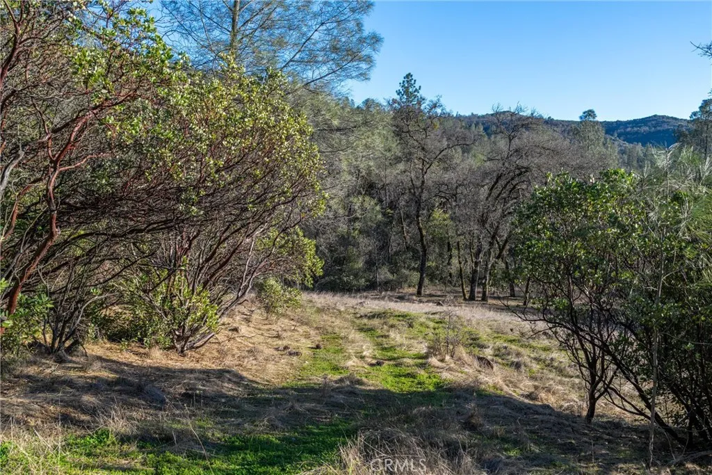0 Crown Point Road Magalia, CA 95954 - Photo 29 of 39 a view of a yard with a tree