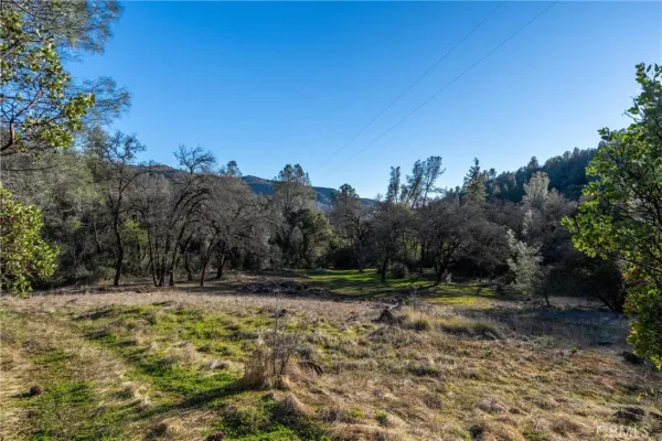 a view of outdoor space with trees all around