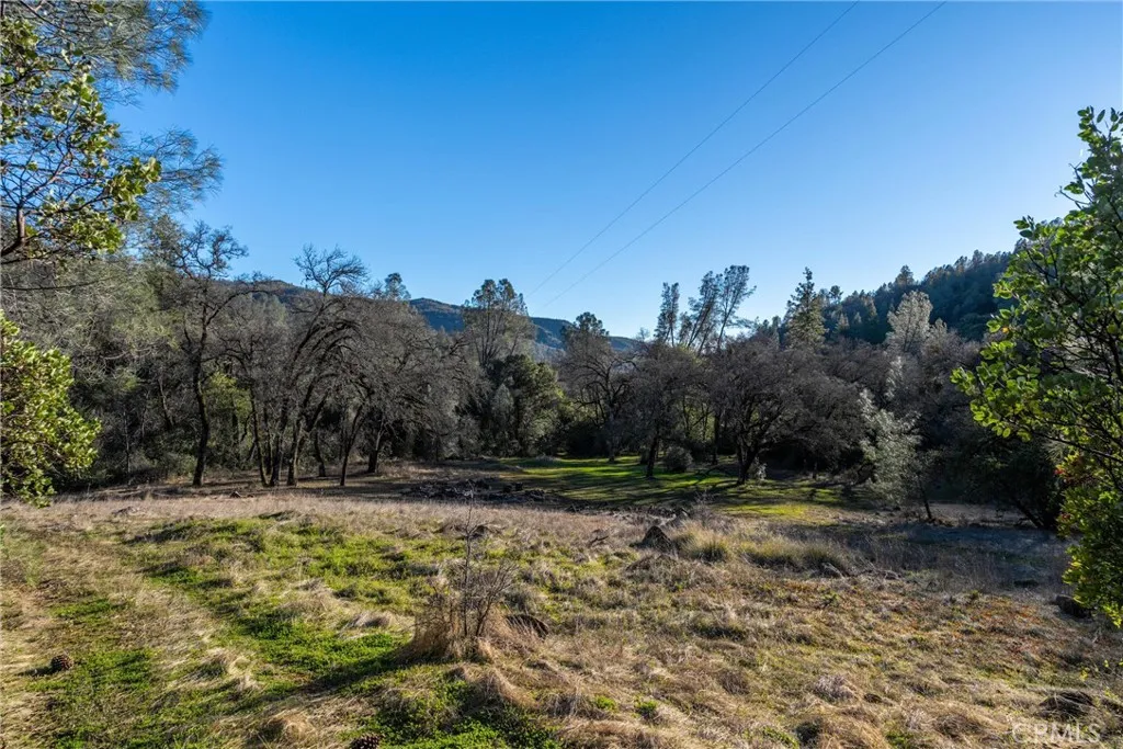 0 Crown Point Road Magalia, CA 95954 - Photo 30 of 39 a view of outdoor space with trees all around