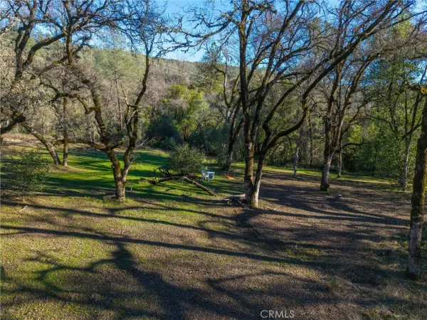 a view of a yard