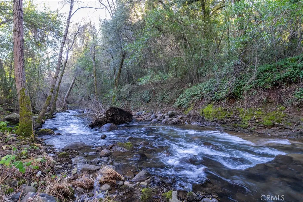 0 Crown Point Road Magalia, CA 95954 - Photo 4 of 39 a view of a forest with trees