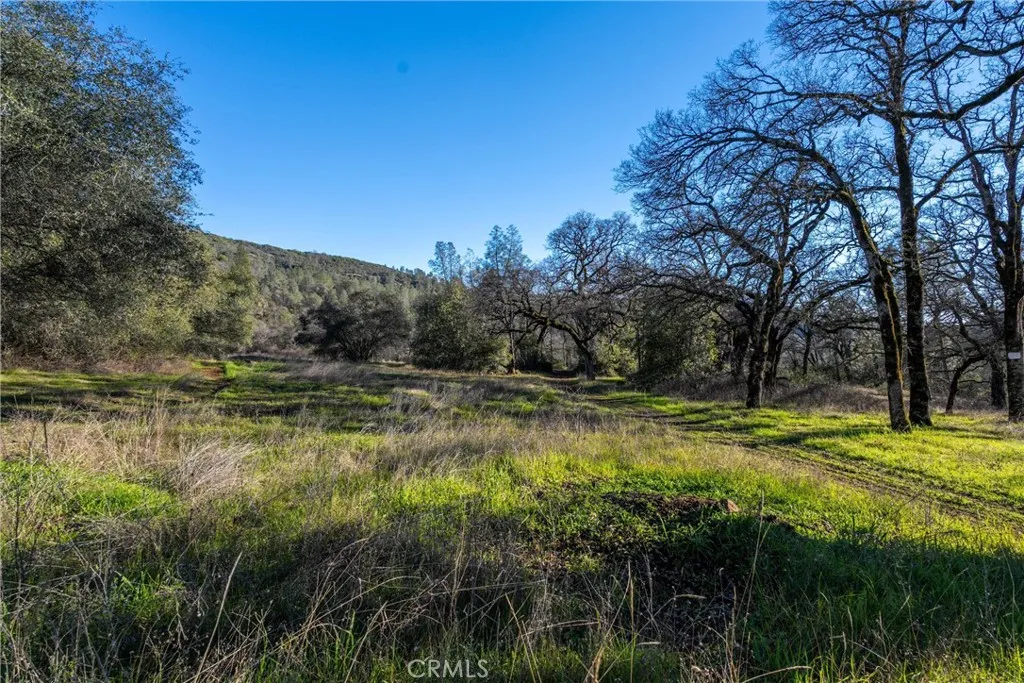 0 Crown Point Road Magalia, CA 95954 - Photo 8 of 39 a view of a water pond with green yard