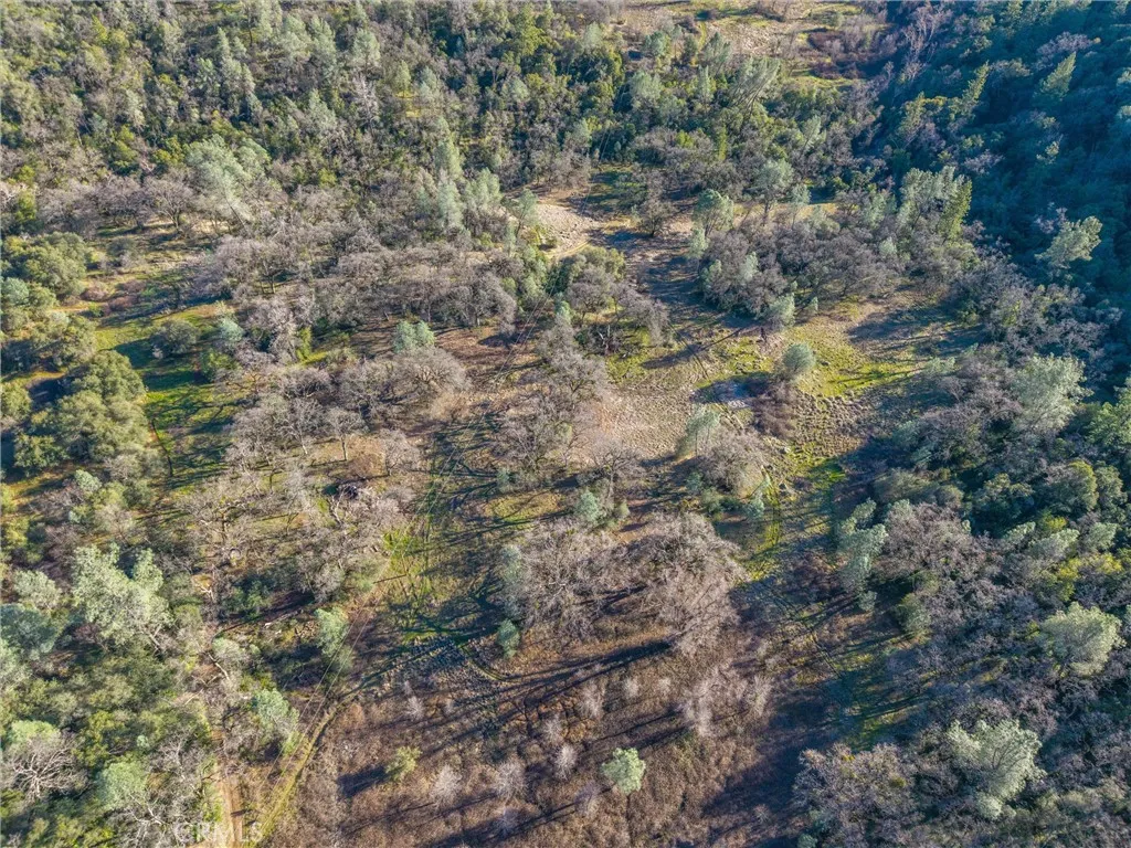 0 Crown Point Road Magalia, CA 95954 - Photo 9 of 39 a view of a forest with a tree
