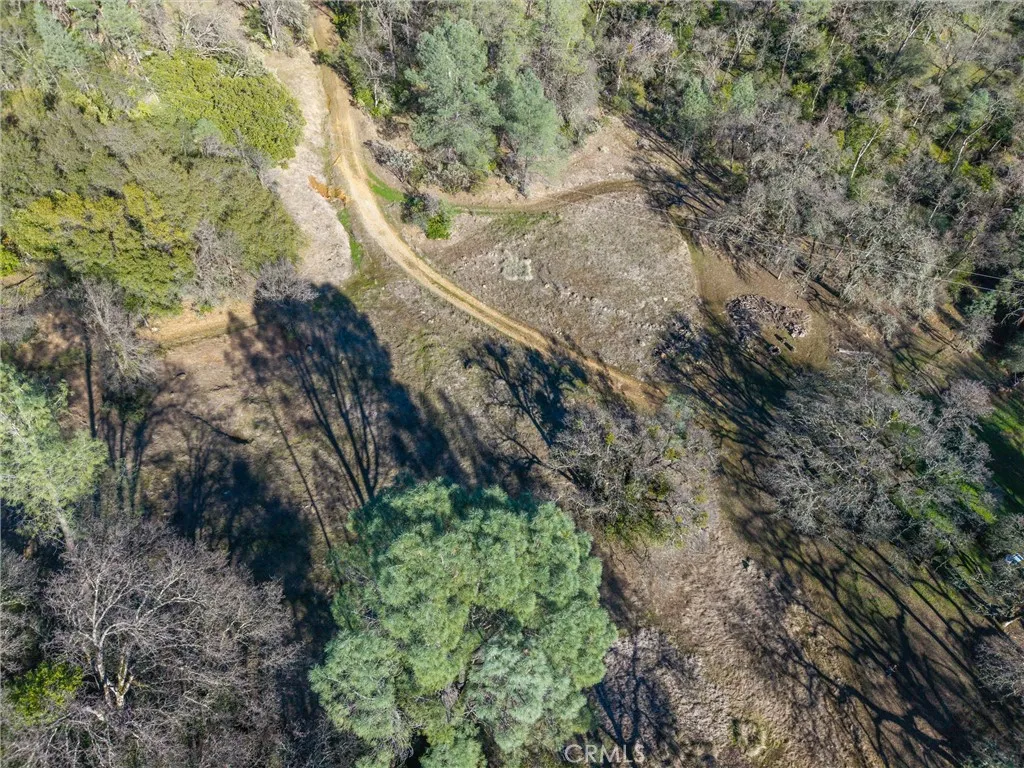 0 Crown Point Road Magalia, CA 95954 - Photo 10 of 39 a view of a forest with trees