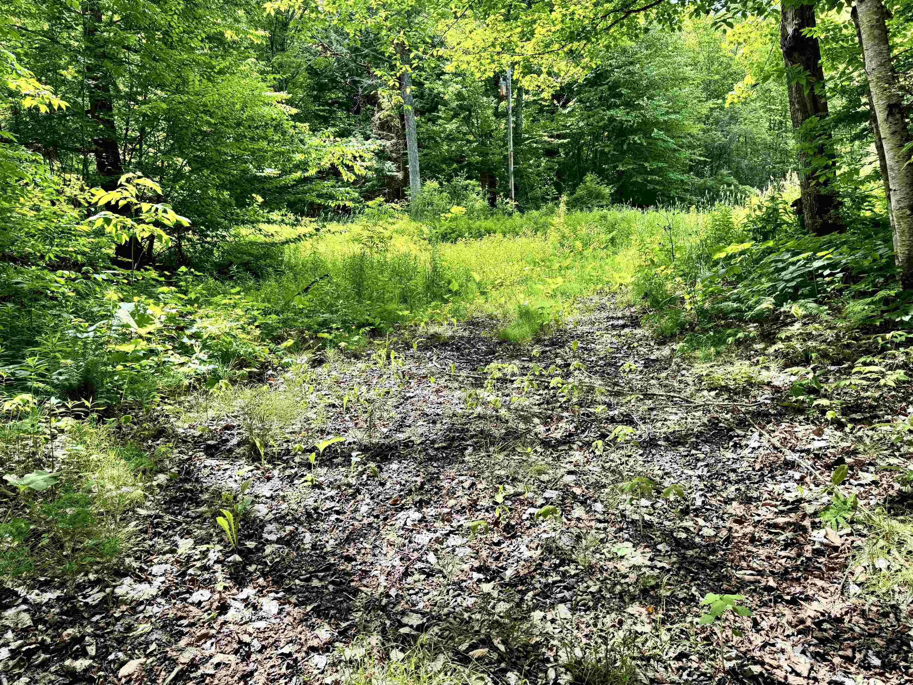 62 Foundry Road Tunbridge, VT 05077 - Photo 8 of 13