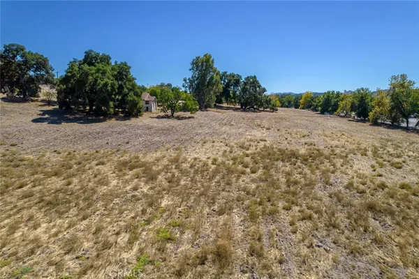 a view of dirt field with trees in background