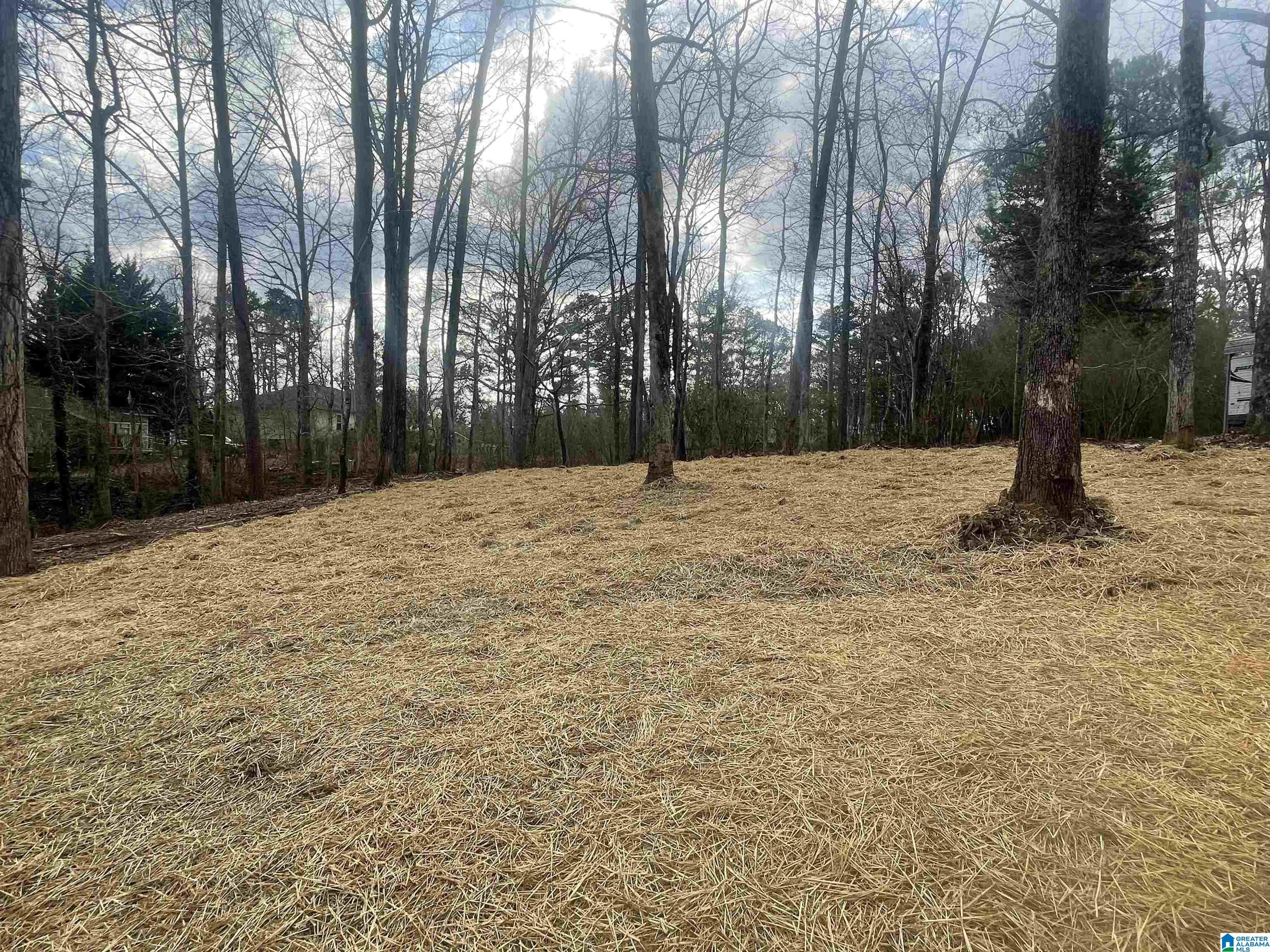 1501 Mountain Lake Road Warrior, AL 35180 - Photo 11 of 51