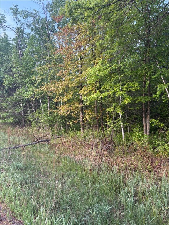 0 Highway 12 Merrillan, WI 54754 - Photo 3 of 3