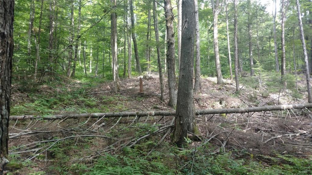 36 Flaggy Meadow Road Gorham, ME 04038 - Photo 19 of 22 Photo