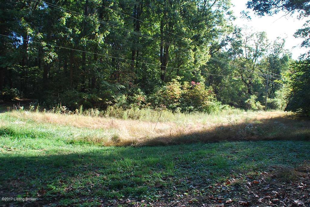 249 Pellman Road Brandenburg, KY 40108 - Photo 8 of 22 10040894-7