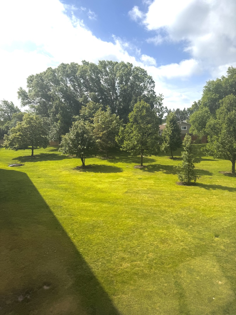 300 South Roselle Road, Unit 309 Schaumburg, IL 60193 - Photo 15 of 19