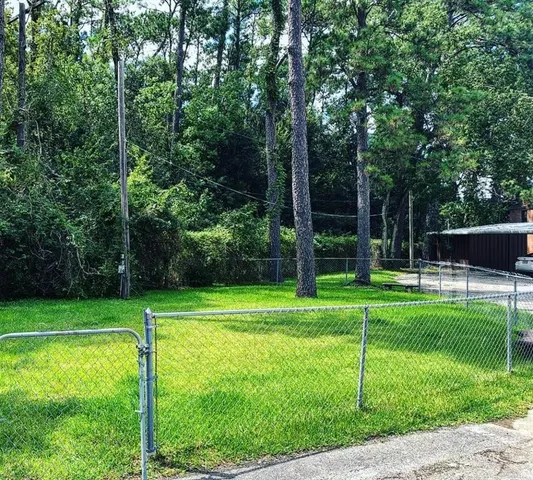 a view of a park with a large trees