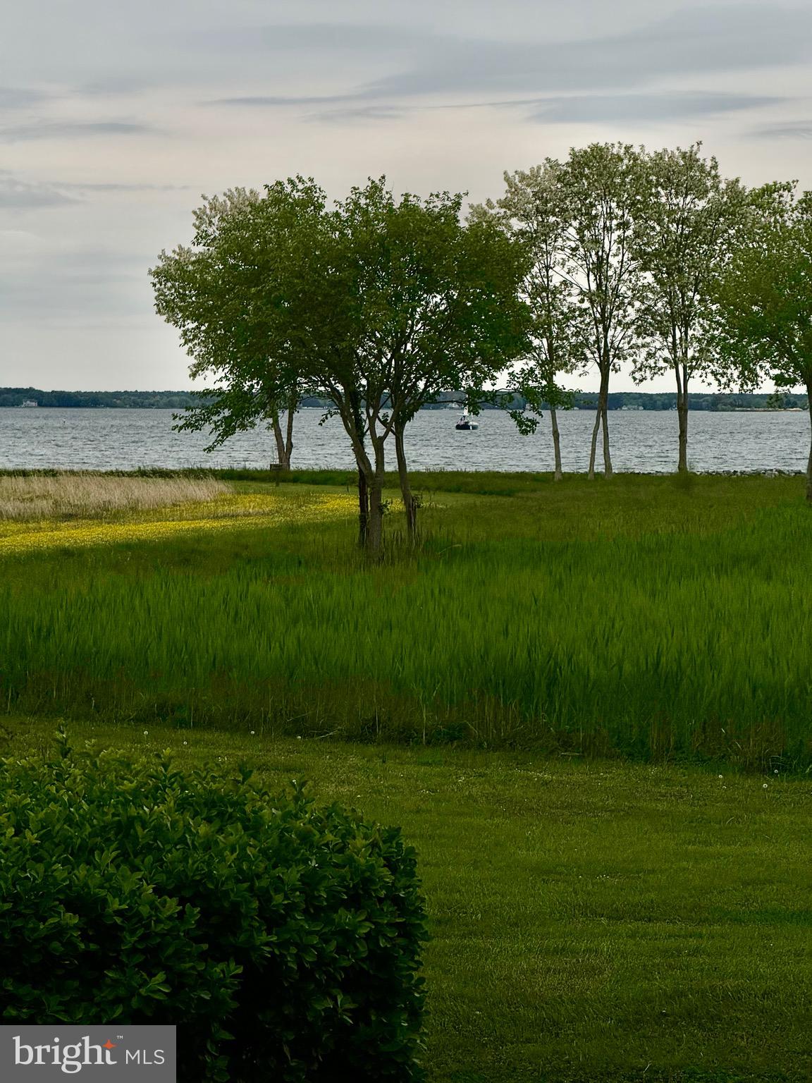 360 Perry Cabin Drive St. Michaels, MD 21663 - Photo 5 of 42 Waterviews of the Miles River from deck
