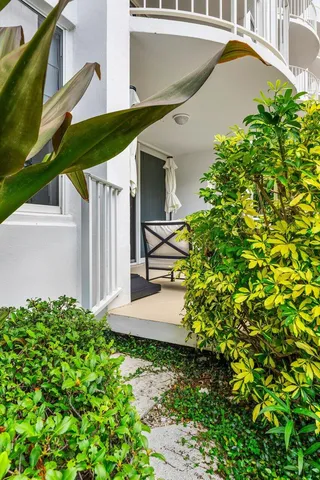 a view of a yard with flower plants