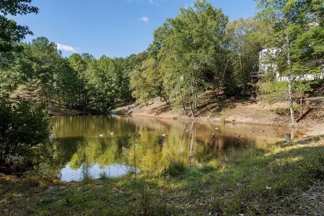 a view of a back yard of the house