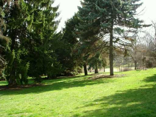 112 Ridge Avenue Economy, PA 15042 - Photo 2 of 8 Yard/Garden.