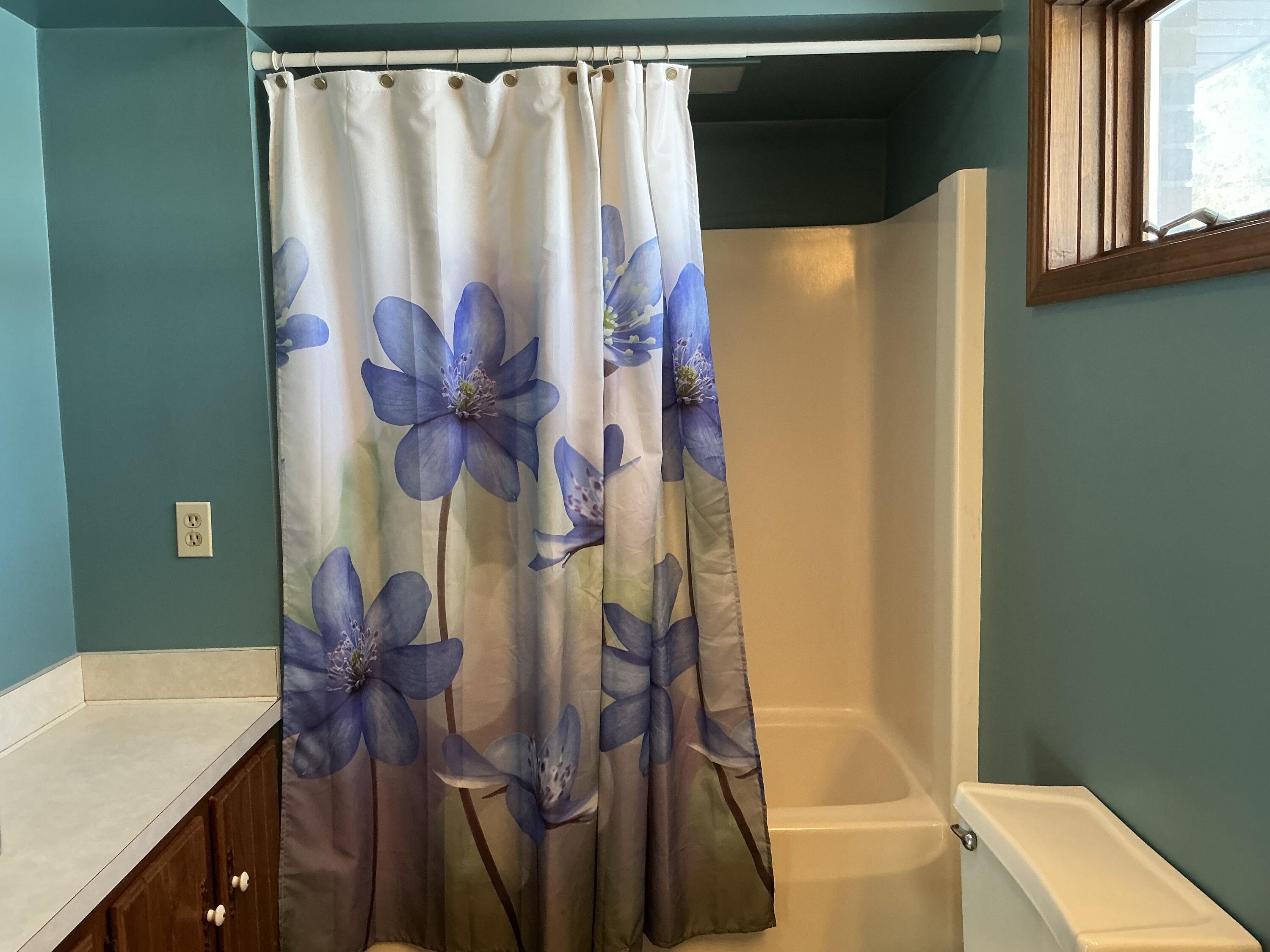 7551 Dobson Road Jonesville, MI 49250 - Photo 16 of 35 IMG_7120