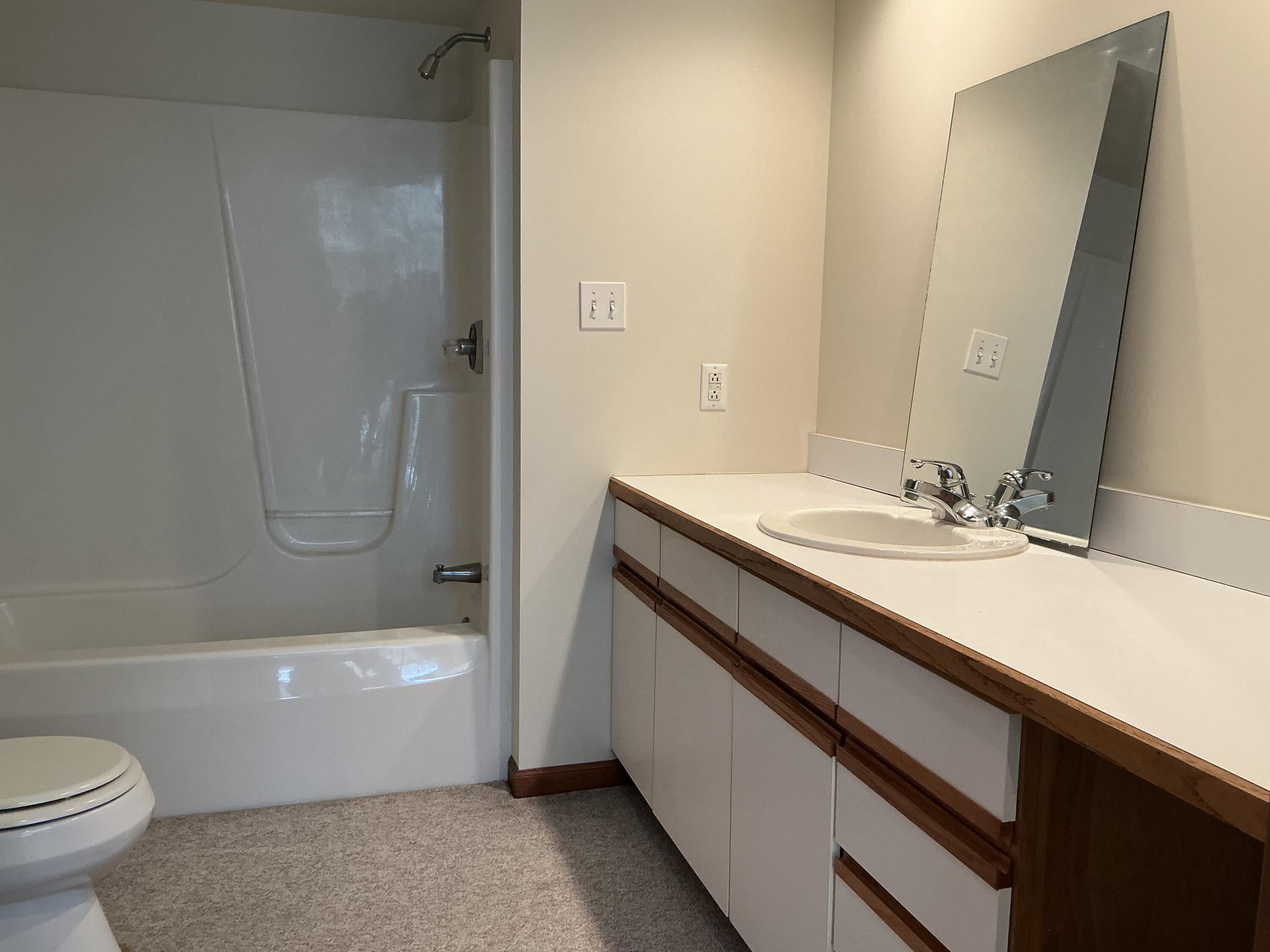 7551 Dobson Road Jonesville, MI 49250 - Photo 28 of 35 IMG_7132