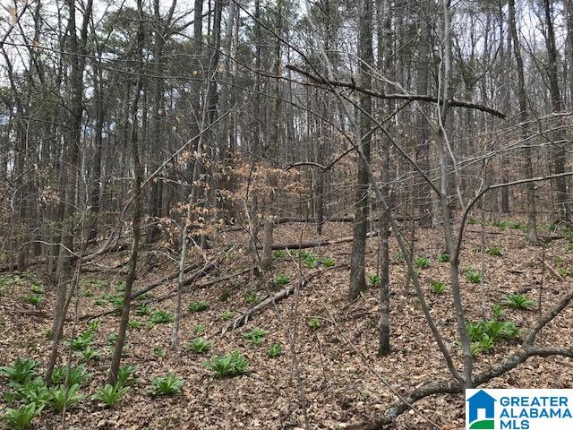 8607 Zuber Road, Unit 22 65 ACRES Springville, AL 35146 - Photo 6 of 9