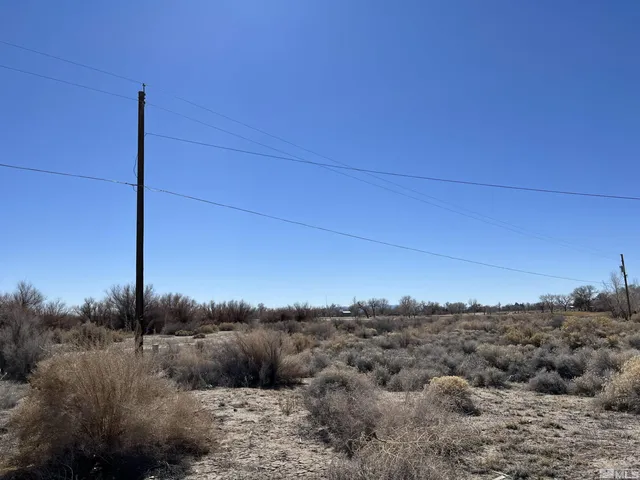 a view of a dry yard