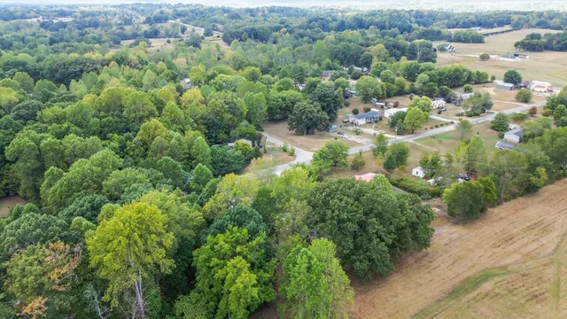 an aerial view of houses with yard and green space
