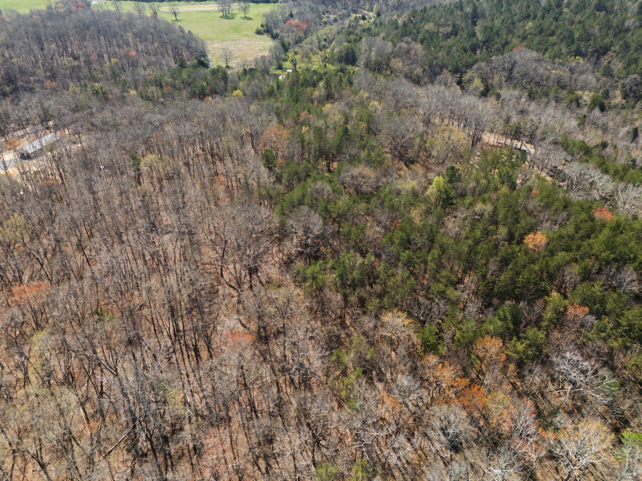 4749 Parker Loop Road Birchwood, TN 37308 - Photo 23 of 31 Gallery Image 23