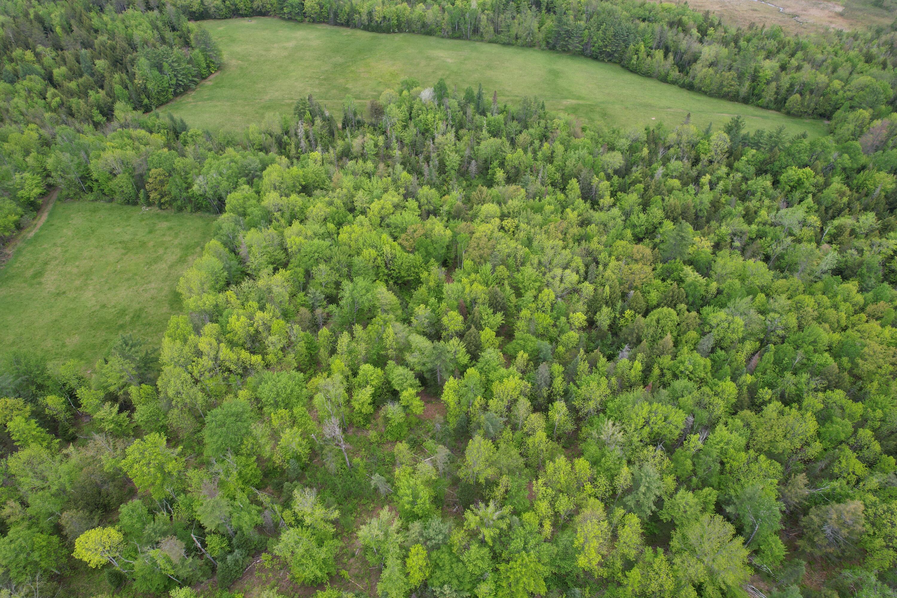 212 Mile Square Road Phillips, ME 04966 - Photo 15 of 33 DJI_0316