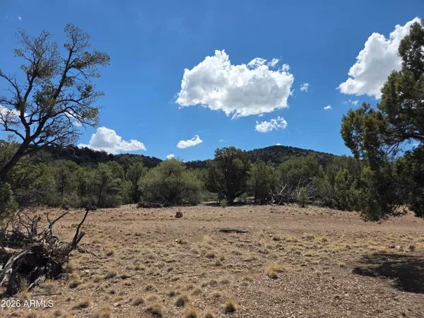 $685,000 | 824 Seligman Yavapai County, Seligman, AZ 86337