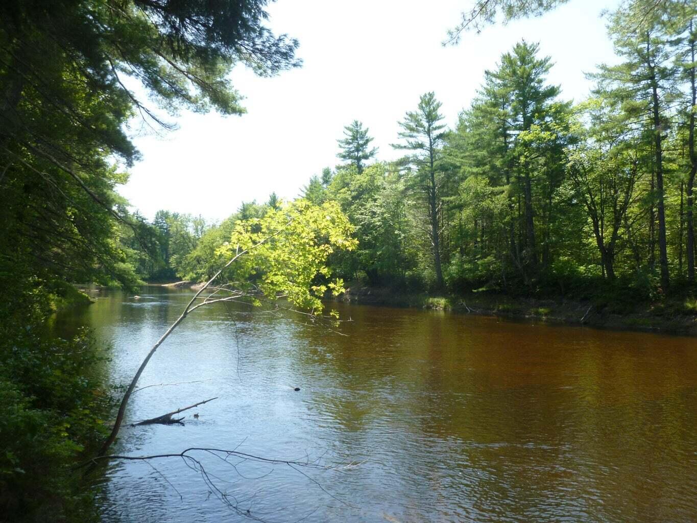 350 Riverbend Road Brownfield, ME 04010 - Photo 3 of 4 River 1