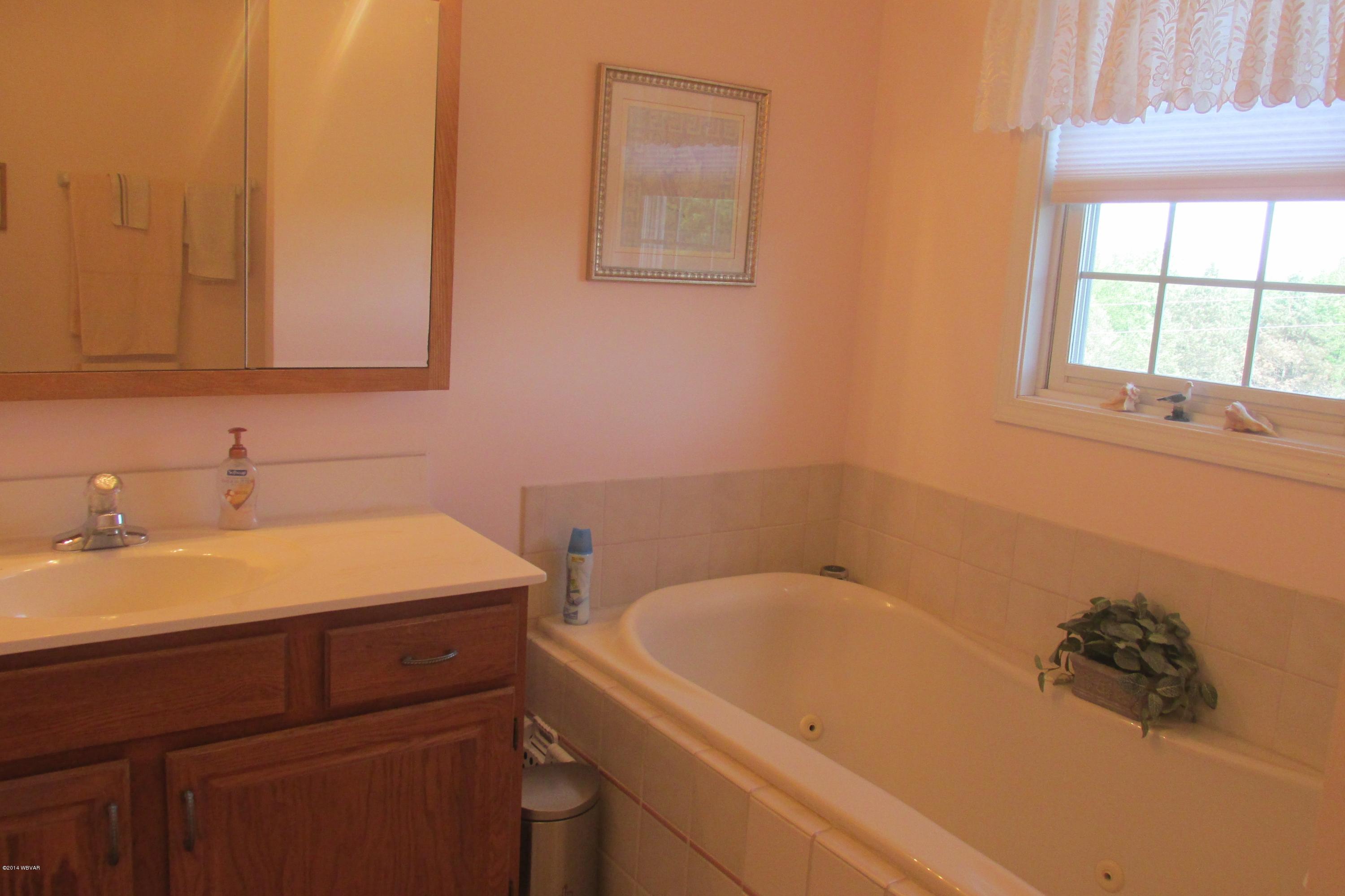 1927 Lake Road Trout Run, PA 17771 - Photo 9 of 21 Master Bath
