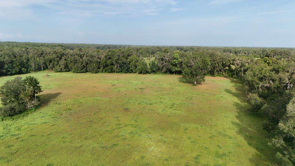 Vacant 145th Road Live Oak, FL 32060 - Photo 38 of 42