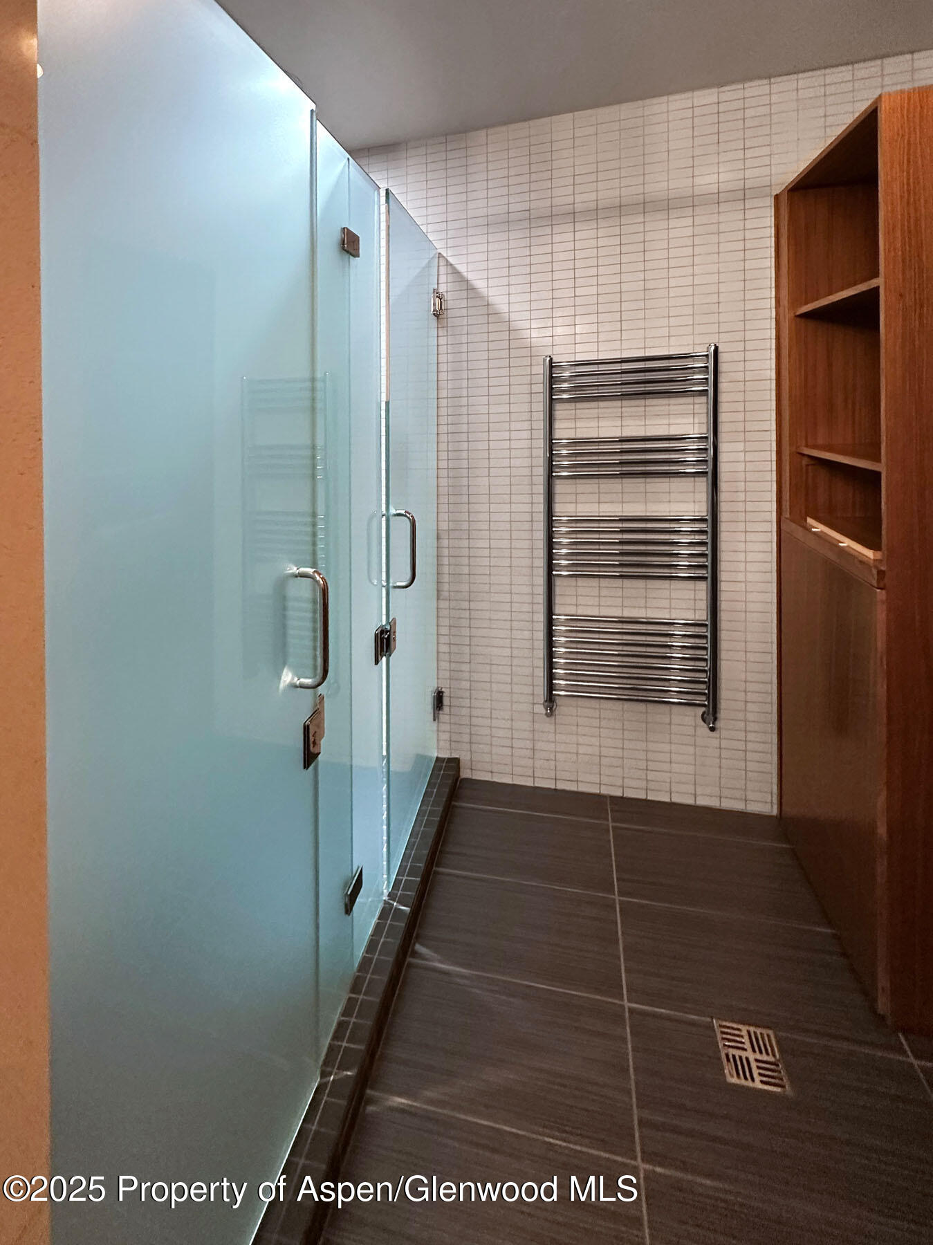55 Upper Woodbridge Road, Unit H5 Snowmass Village, CO 81615 - Photo 34 of 35 Spa-like Showers
