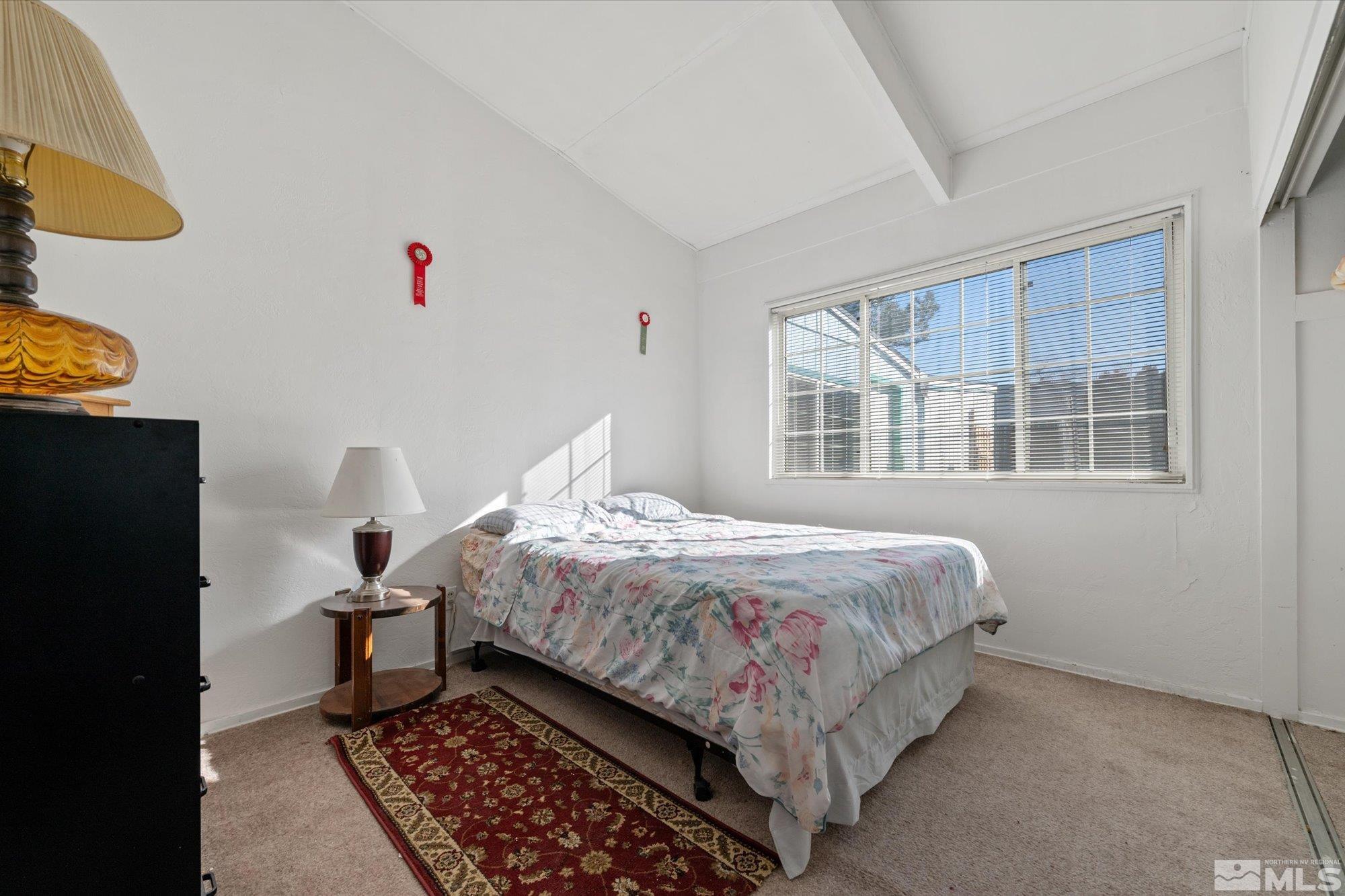 13551 Mt Rainier Street Reno, NV 89506 - Photo 11 of 20 Photo 11