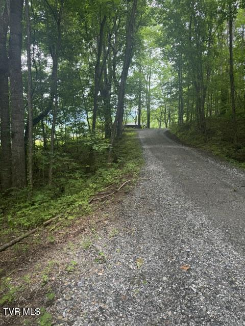 Tbd Tbd Sugar Loaf Mountain Road Marshall, NC 28753 - Photo 2 of 5 IMG_2815